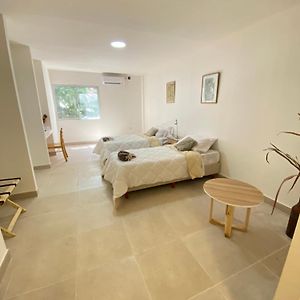Gmp Suites